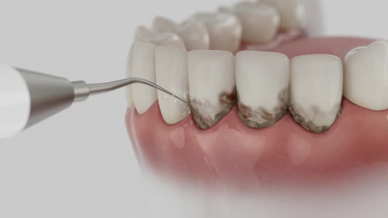 Reliable Dental contractor in Lockport, LA by Dentist Open Now